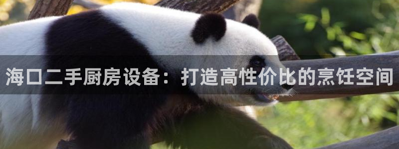 尊龙旗舰厅：海口二手厨房设备：打造高性价比的烹饪空间