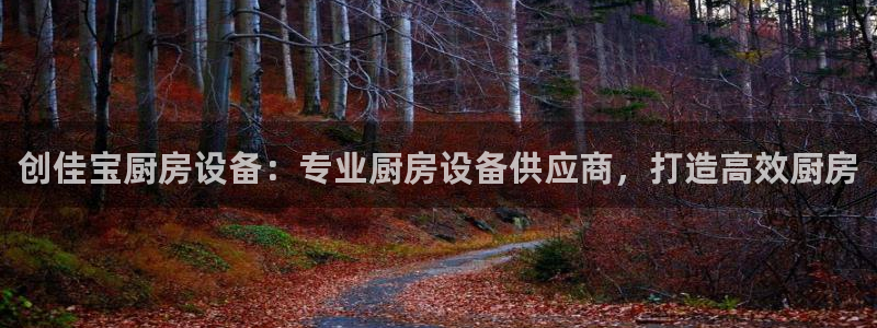 尊龙2020：创佳宝厨房设备：专业厨房设备供应商，打造高效厨
