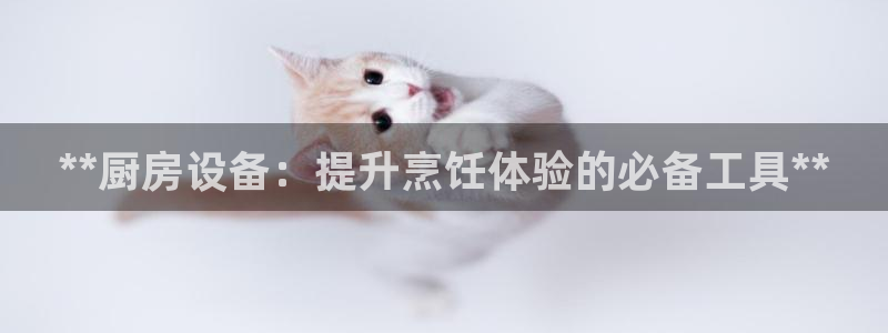 凯时AG网：**厨房设备：提升烹饪体验的必备工具**