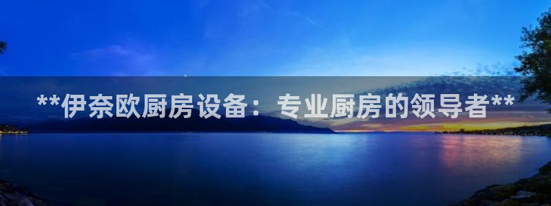 凯时国际平台有人赢吗：**伊奈欧厨房设备：专业厨房的领导者*