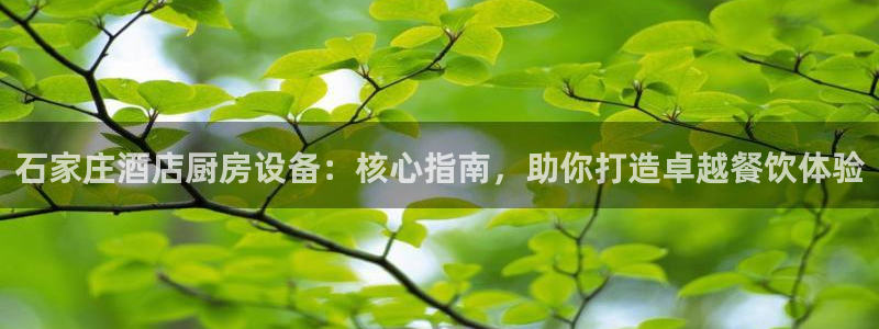 尊龙ag旗舰厅登录 租车app下载：石家庄酒店厨房设备：核心
