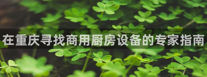 尊龙凯时论坛：在重庆寻找商用厨房设备的专家指南