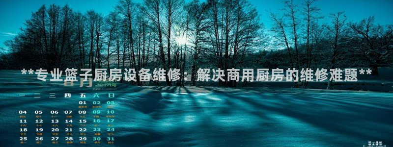 尊龙平台有谁玩过：**专业篮子厨房设备维修：解决商用厨房的维