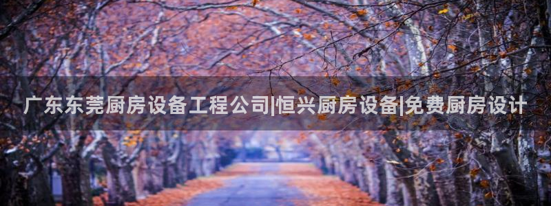 尊龙人生就是博一下下：广东东莞厨房设备工程公司|恒兴厨房设备