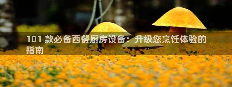 尊龙凯时d3563：101 款必备西餐厨房设备：升级您烹饪体