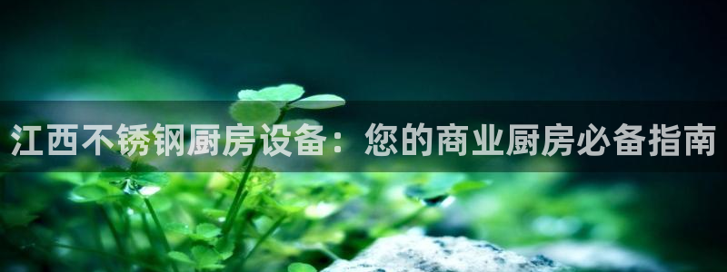 尊龙平台登录：江西不锈钢厨房设备：您的商业厨房必备指南