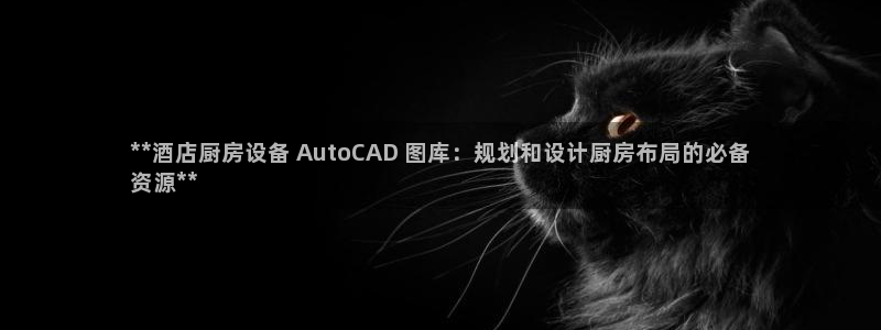 凯时官网下载客户端：**酒店厨房设备 AutoCAD 图库：
