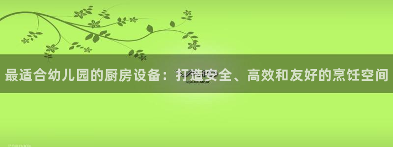 尊龙凯时美金能提取吗：最适合幼儿园的厨房设备：打造安全、高效