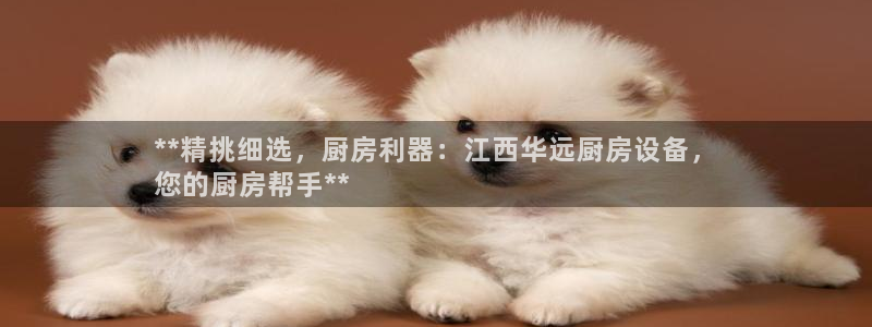 尊龙d88官网确来就送38：**精挑细选，厨房利器：江西华远