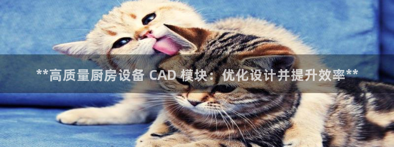 尊龙人生就是博手机版下载：**高质量厨房设备 CAD 模块：