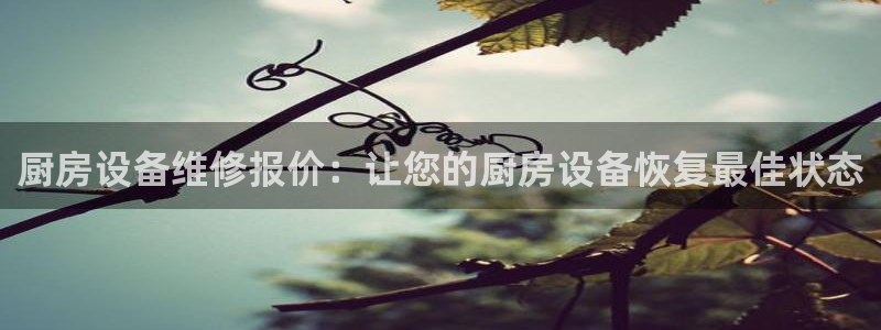 凯时国际平台有人赢吗：厨房设备维修报价：让您的厨房设备恢复最
