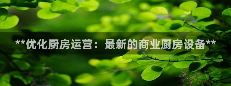尊龙d88手机登录免费下载：**优化厨房运营：最新的商业厨房