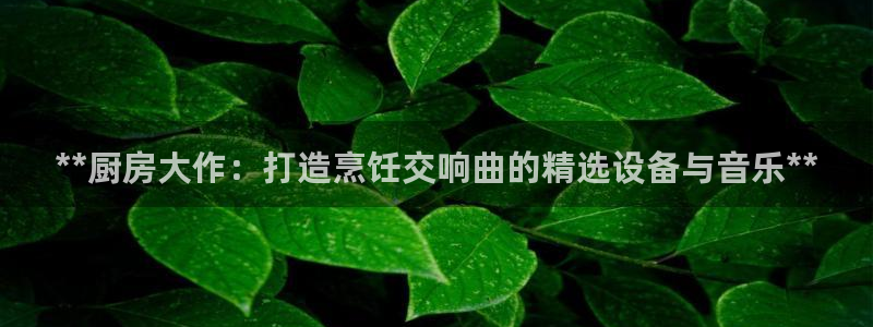 尊龙官方身高：**厨房大作：打造烹饪交响曲的精选设备与音乐*