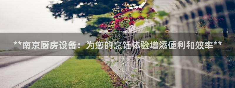 尊龙-人生就是博!：**南京厨房设备：为您的烹饪体验增添便利