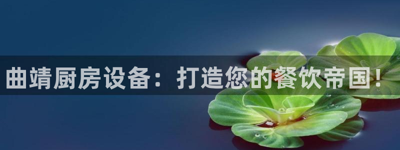 尊龙人生就是博旧版现金娱乐一下：曲靖厨房设备：打造您的餐饮帝