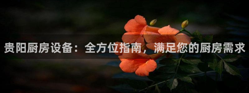 尊龙d88官网去来就送38：贵阳厨房设备：全方位指南，满足您
