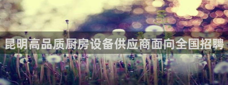 尊龙官网免费下载安卓：昆明高品质厨房设备供应商面向全国招聘