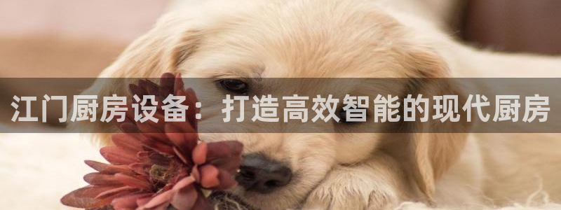 尊龙凯时旗舰厅百家乐下载：江门厨房设备：打造高效智能的现代厨