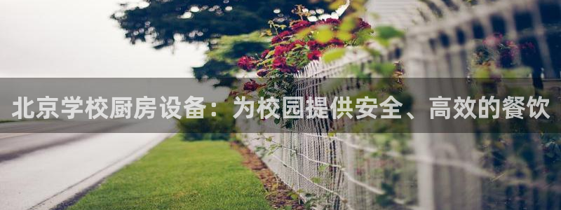 尊龙新版手机app下载：北京学校厨房设备：为校园提供安全、高