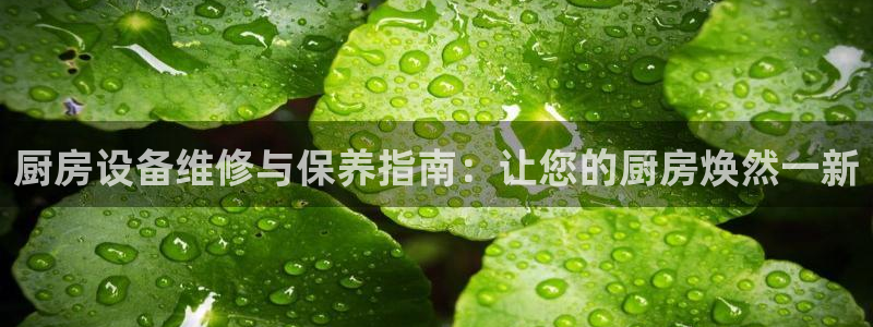 尊龙王t400：厨房设备维修与保养指南：让您的厨房焕然一新