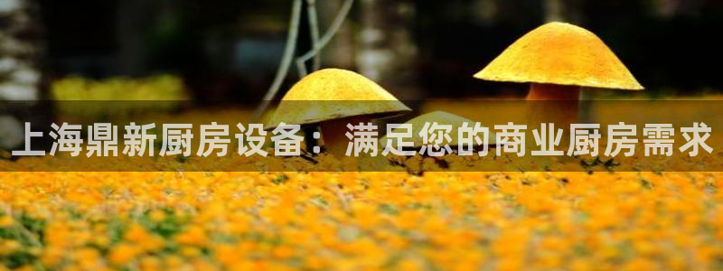 尊龙新版app首页：上海鼎新厨房设备：满足您的商业厨房需求