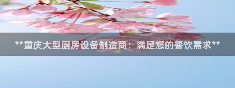 尊龙官网免费下载安装：**重庆大型厨房设备制造商：满足您的餐
