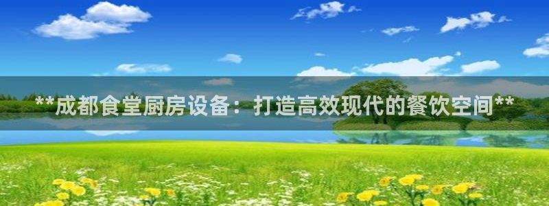 尊龙凯时网娱乐最新版：**成都食堂厨房设备：打造高效现代的餐