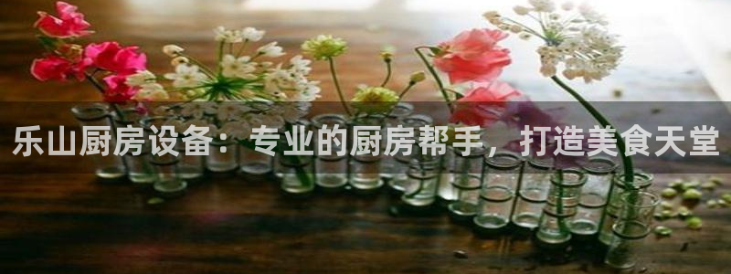 尊龙人生就是博d88 - Z6尊龙官方网站：乐山厨房设备：专