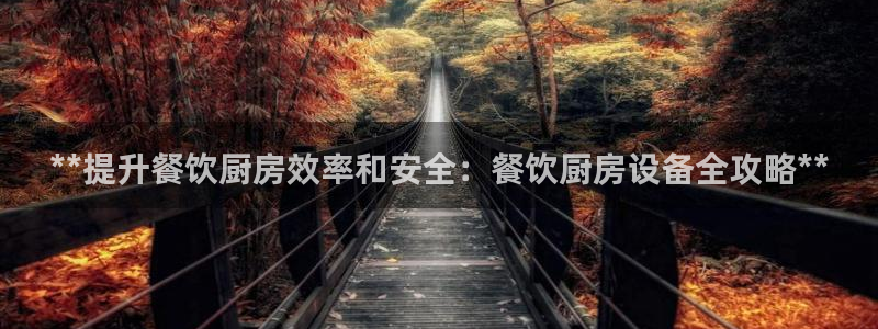 旧版尊龙人生就是博下载：**提升餐饮厨房效率和安全：餐饮厨房