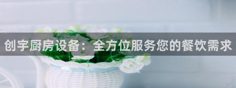 尊龙app最新版本官网：创宇厨房设备：全方位服务您的餐饮需求