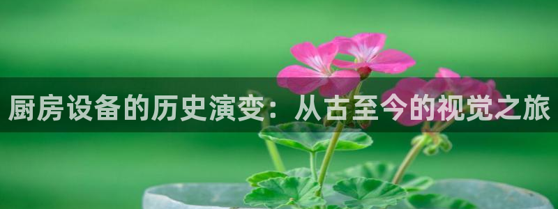 尊龙凯时d3563：厨房设备的历史演变：从古至今的视觉之旅