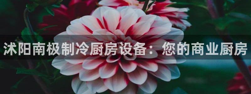 尊龙凯时只输不赢：沭阳南极制冷厨房设备：您的商业厨房