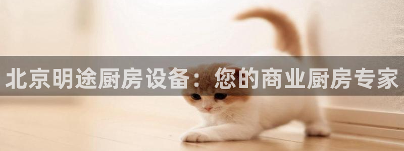 尊龙ag旗舰：北京明途厨房设备：您的商业厨房专家