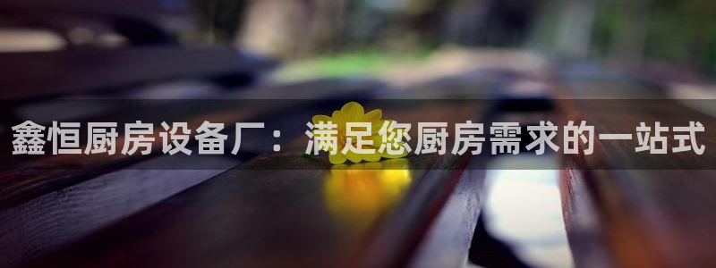 尊龙凯时和九游会哪个平台好一点：鑫恒厨房设备厂：满足您厨房需