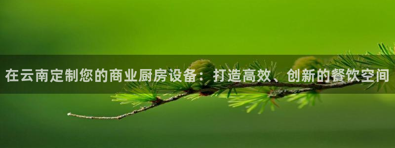 z6尊龙凯时：在云南定制您的商业厨房设备：打造高效、创新的餐