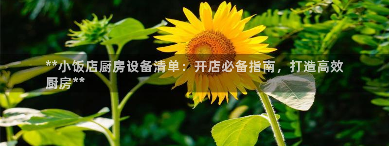 尊龙凯时人生就是博·(中国)官网：**小饭店厨房设备清单：开