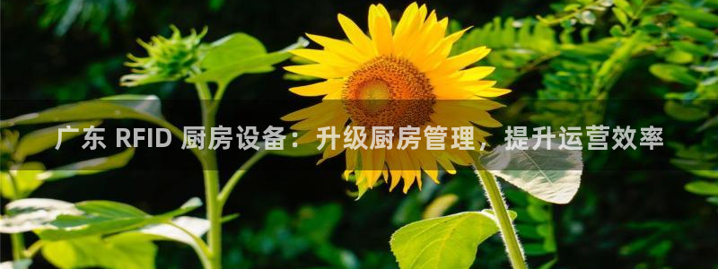 尊龙人生就是博旧版手机可靠送38元：广东 RFID 厨房设备