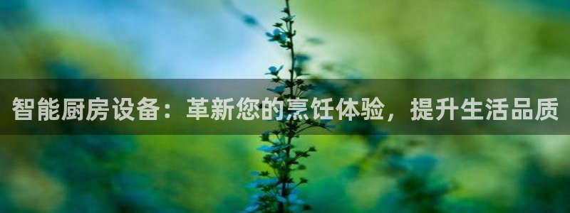 尊龙凯时人生就是博·(中国)官网：智能厨房设备：革新您的烹饪