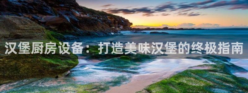 尊龙凯时台子：汉堡厨房设备：打造美味汉堡的终极指南