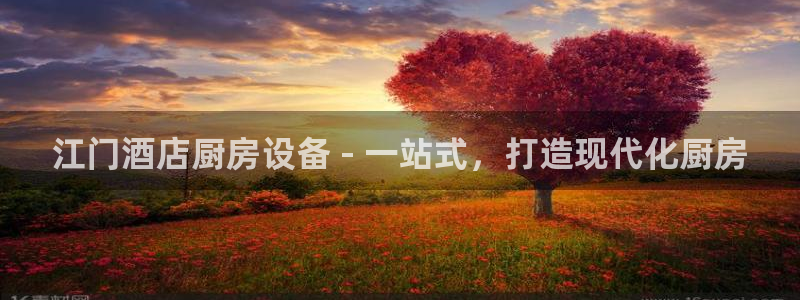尊龙旗舰店：江门酒店厨房设备 - 一站式，打造现代化厨房