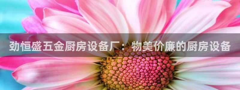 凯时APP官网首页：劲恒盛五金厨房设备厂：物美价廉的厨房设备