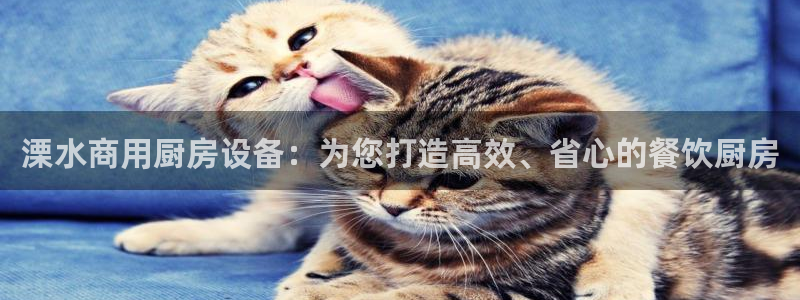 尊龙500价格：溧水商用厨房设备：为您打造高效、省心的餐饮厨