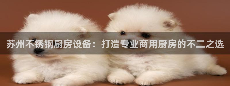 凯时是AG优质运营商：苏州不锈钢厨房设备：打造专业商用厨房的