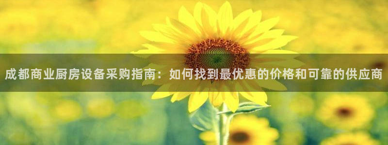 尊龙集团有限公司招聘：成都商业厨房设备采购指南：如何找到最优