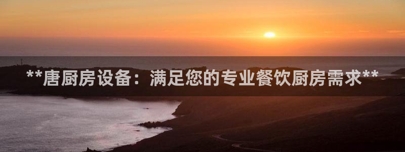 尊龙凯时d3563：**唐厨房设备：满足您的专业餐饮厨房需求