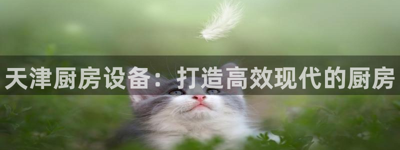 尊龙app最新版本官网：天津厨房设备：打造高效现代的厨房