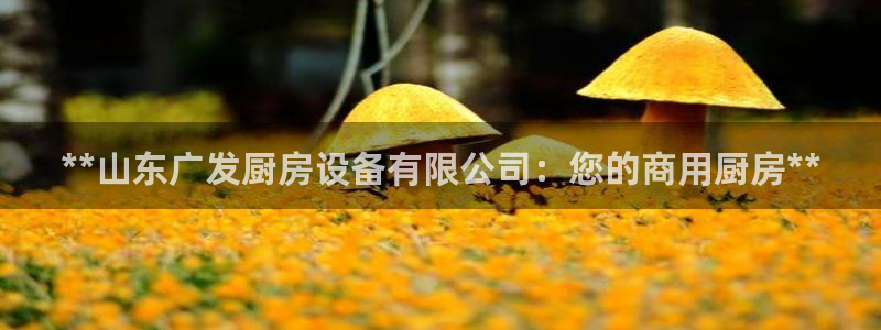 尊龙人生就是博AG：**山东广发厨房设备有限公司：您的商用厨