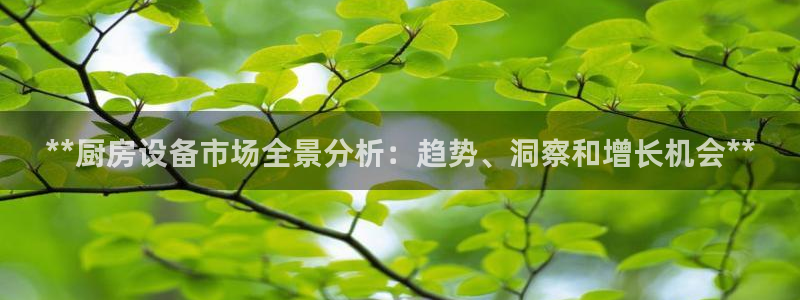 尊龙D88现金旧版：**厨房设备市场全景分析：趋势、洞察和增