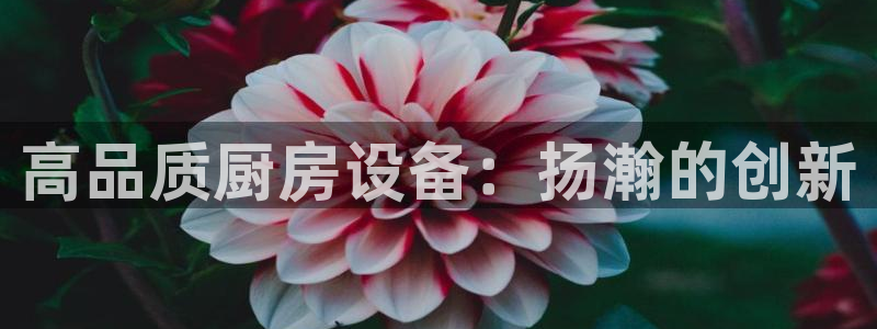 尊龙1003尊龙 - 百度：高品质厨房设备：扬瀚的创新