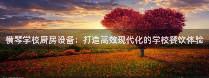 尊龙官方身高：横琴学校厨房设备：打造高效现代化的学校餐饮体验